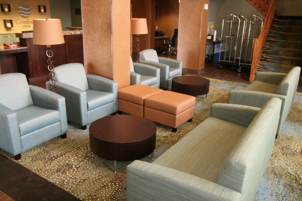Comfort Inn Pine Grove I-81 Hershey Area Exterior foto